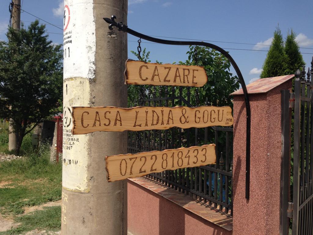 Casa Lidia Si Gogu Hotel Budeasa Mare Buitenkant foto