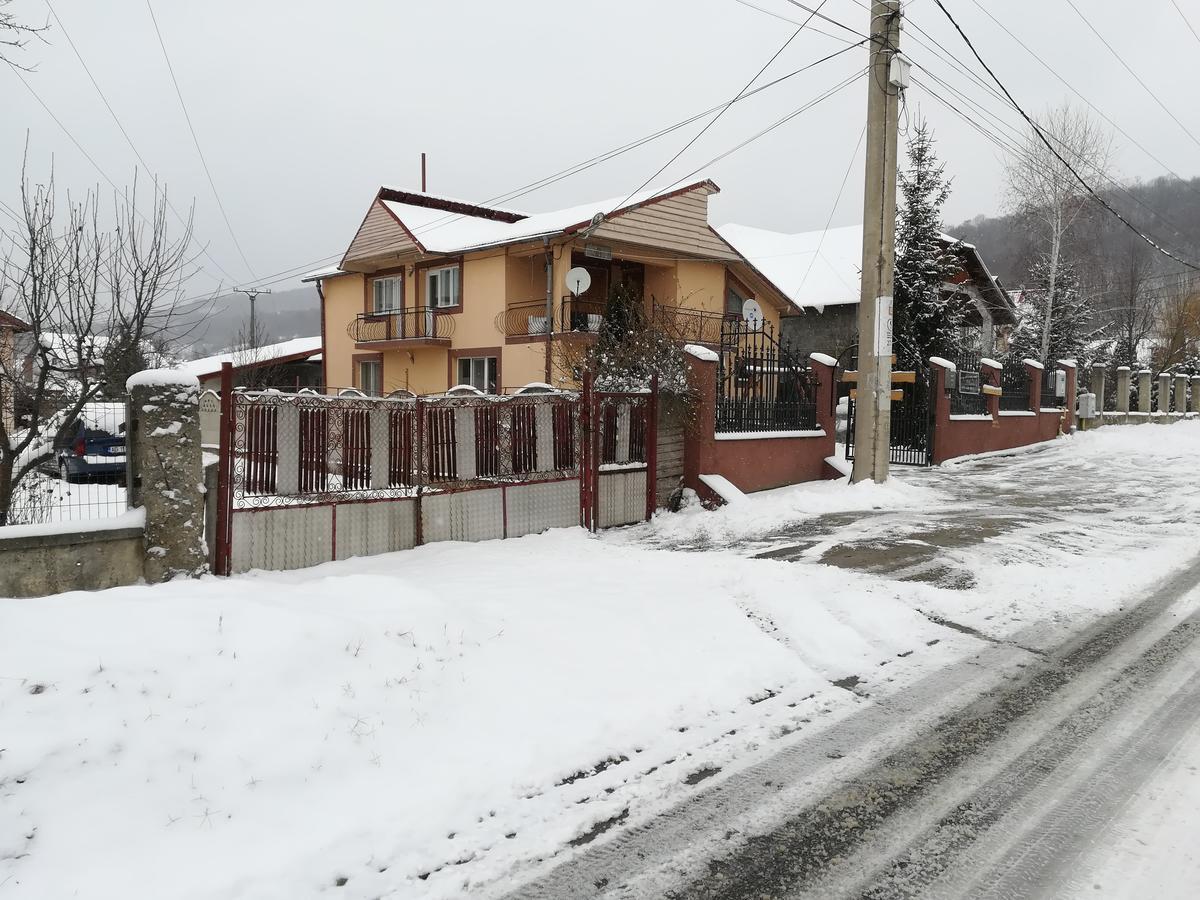 Casa Lidia Si Gogu Hotel Budeasa Mare Buitenkant foto